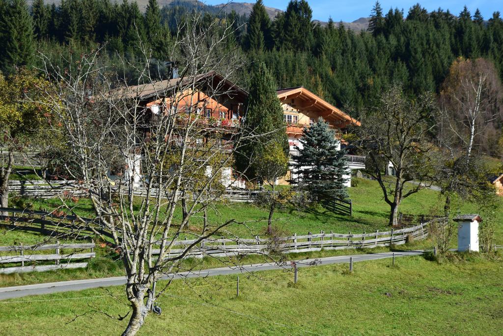 Apartment gmiatlich Wohnen Hollersbach im Pinzgau Exterior foto